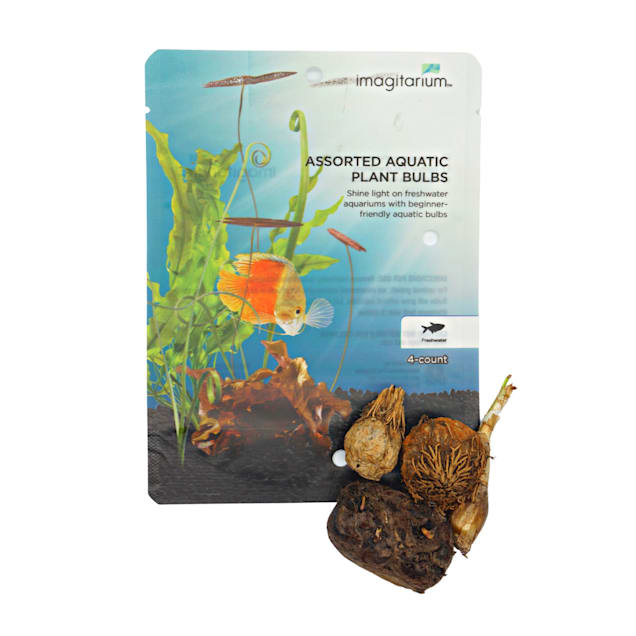 Assorted Bulb Pack Petco