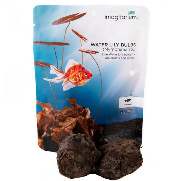 Bulb aquarium top