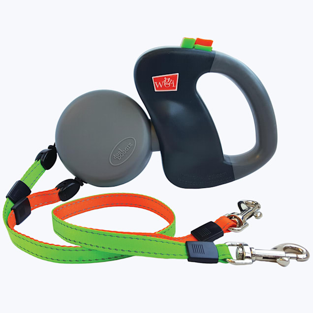 Petco flexi best sale leash