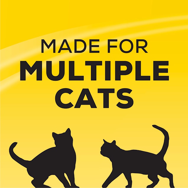 Tidy Cats 4 in 1 Strength Clumping Cat Litter 20 lbs