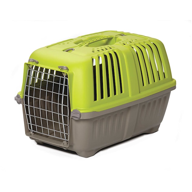 Spree Plastic Carrier, Green 22