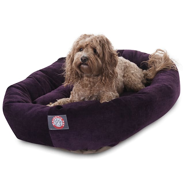 Mjkone Pet Bed & Reviews