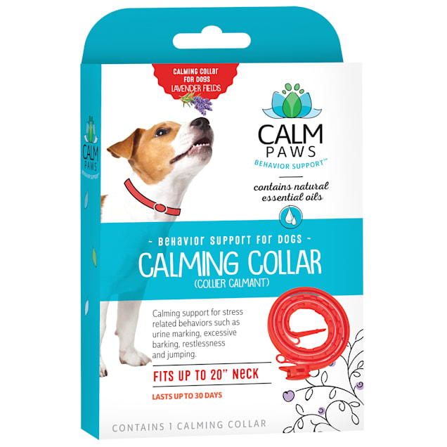 Calm Paws Dog Calming Collar Petco