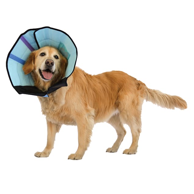 Calm Paws Dog Caring Collar, Medium Petco