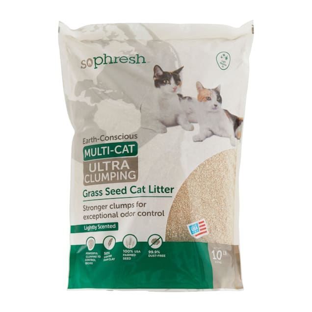 So Phresh Extreme Clumping Scented Grass Seed Cat Litter, 10 lbs. Petco