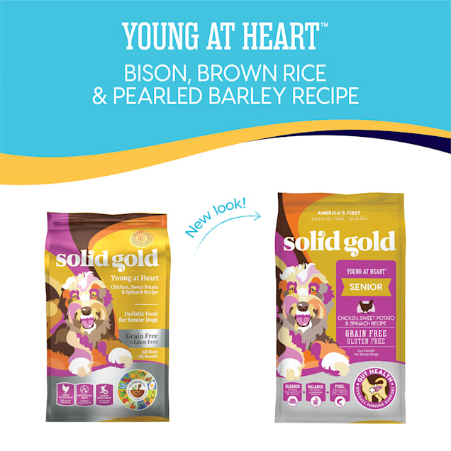 Solid gold senior dog food online