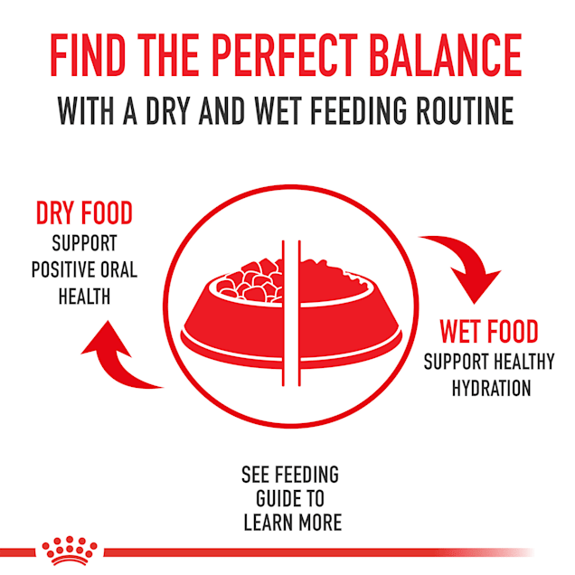 Royal canin shih tzu petco clearance