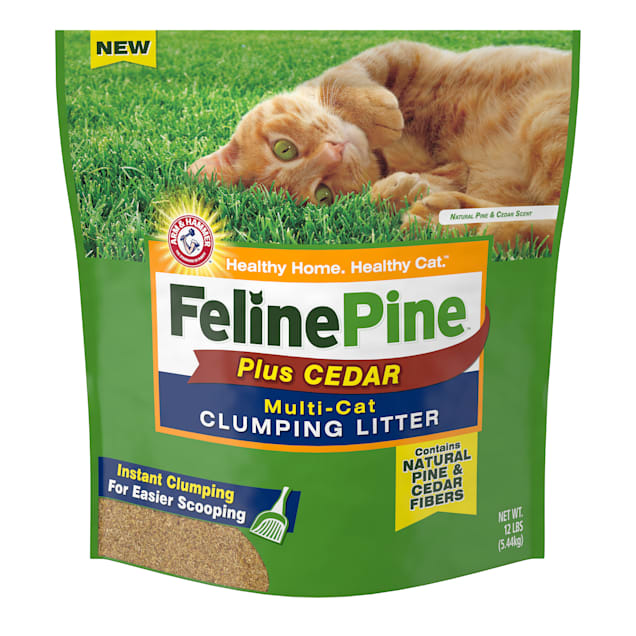 how often to change feline pine litter