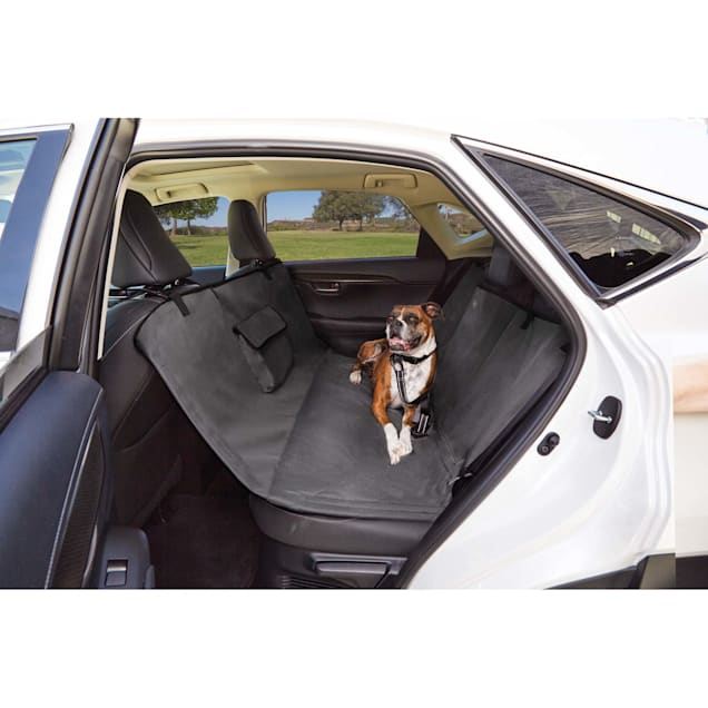 Dog seat belt harness petco clearance