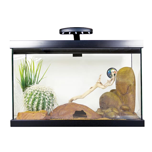 Exo terra gecko starter kit hotsell