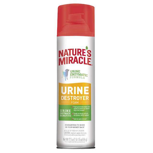 Nature's Miracle Urine Destroyer Stain & Odor Foam, 17.5 oz. - Carousel image #1