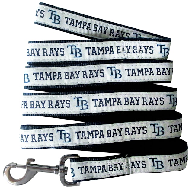 Pets First Tampa Bay Rays Blue Dog Collar, Extra Large at