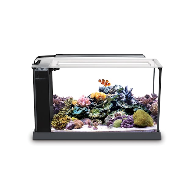 radium Nadeel auditie Fluval 5 Gallon EVO V Marine Aquarium Kit | Petco