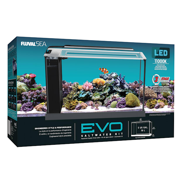 Fluval 5 gallon evo v marine aquarium kit 2025