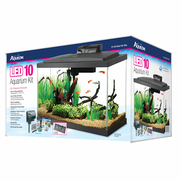 aqueon 10 gal led aquarium kit