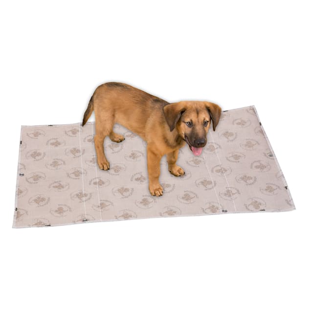 400 Count 30 x 30 Puppy Under pads Dog Pee Pads Housebreaking Training Mat