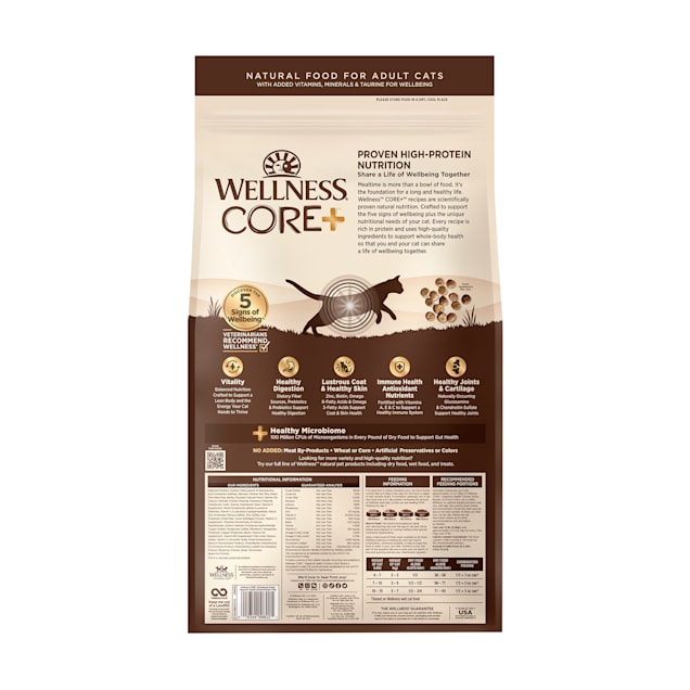 Wellness Core Grain Free Original Turkey & Chicken Natural Dry Cat Food, 11-Pound Bag