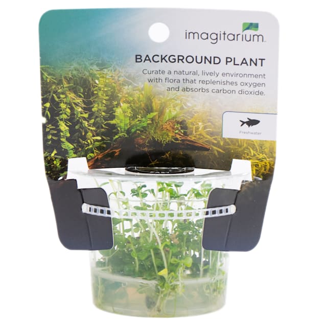 Petco freshwater plants sales