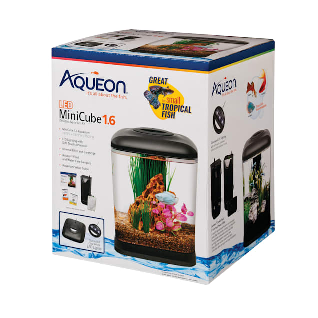 aqueon 1 6 gallon led mini cube kit