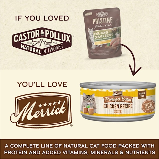 Pristine grain sales free cat food