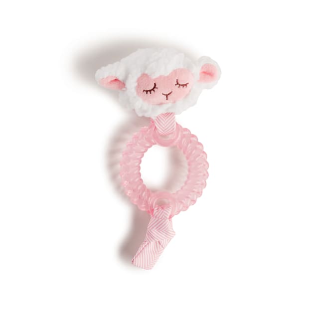 Petco puppy teething toys outlet