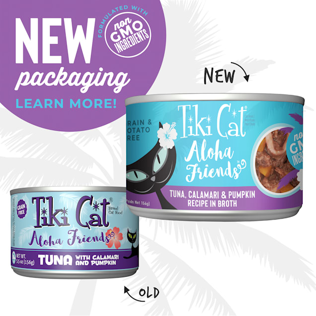 Tiki cat tuna with cheap pumpkin