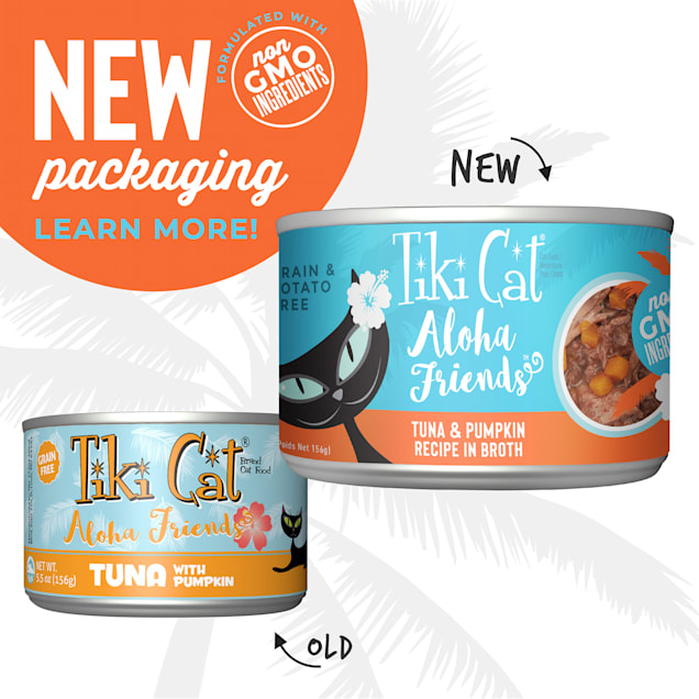 Tiki cat discount pumpkin