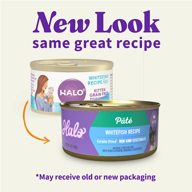 Halo Kitten Grain Free Whitefish Recipe Pate Canned Cat Food 3 oz Case of 12
