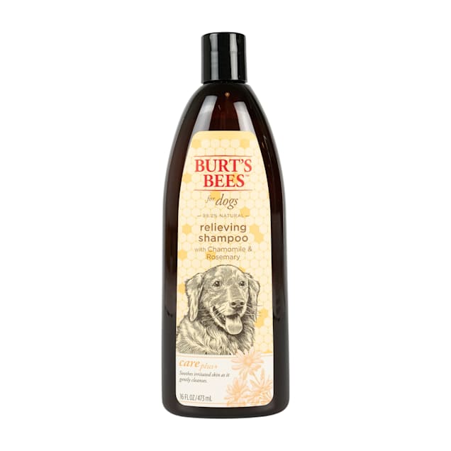 Burt's Bees Oatmeal Shampoo For Dogs, 16 fl oz - Kroger