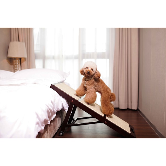 Collapsible hotsell dog ramp