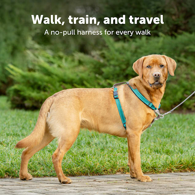 Petco good to go harness clearance