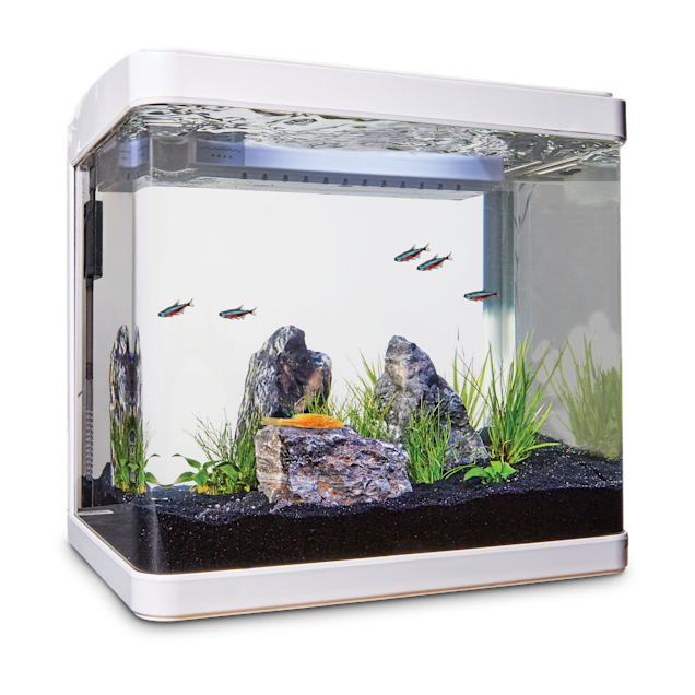 imagitarium freshwater cube aquarium kit 5 2 gal