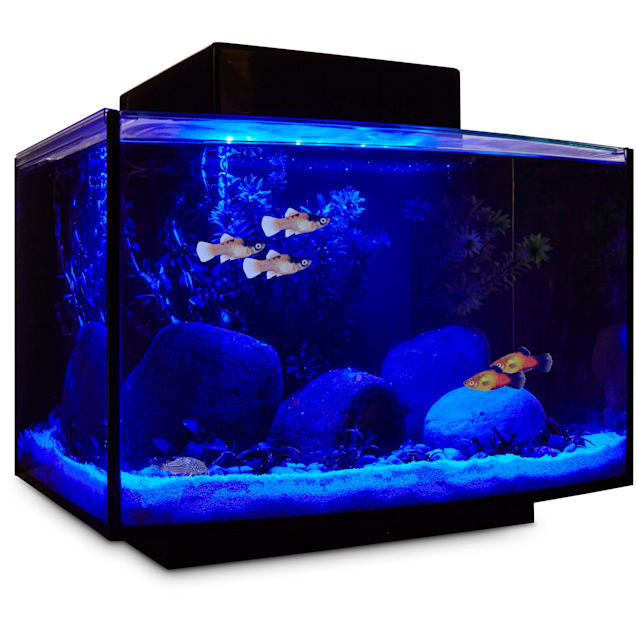 imagitarium platform freshwater aquarium kit 6 6 gal