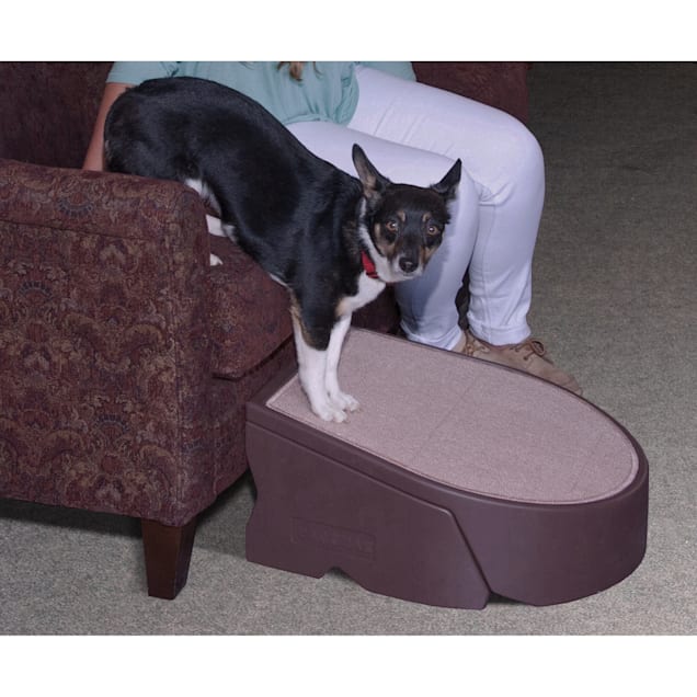 Pet Gear Easy Step I in Chocolate Petco