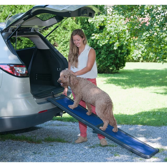 Petco folding dog ramp store