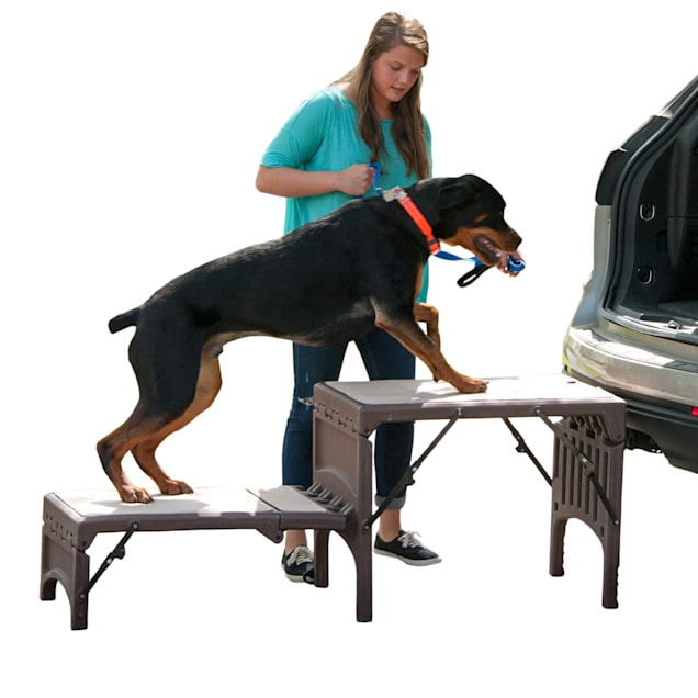 Pet Gear Free Standing Foldable Pet Stair in Chocolate