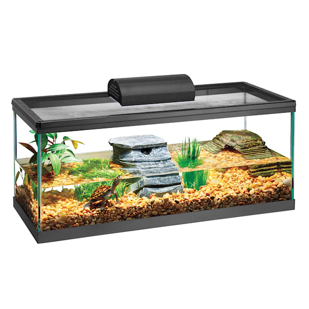 Aqueon Standard Open-Glass 20 Gallon Aquarium Tank