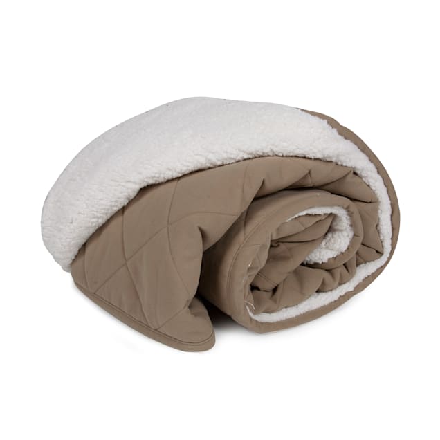 Carolina Pet Quilt Microfiber & Cloud Sherpa Throw in Sage, 48" L x 54" W - Carousel image #1