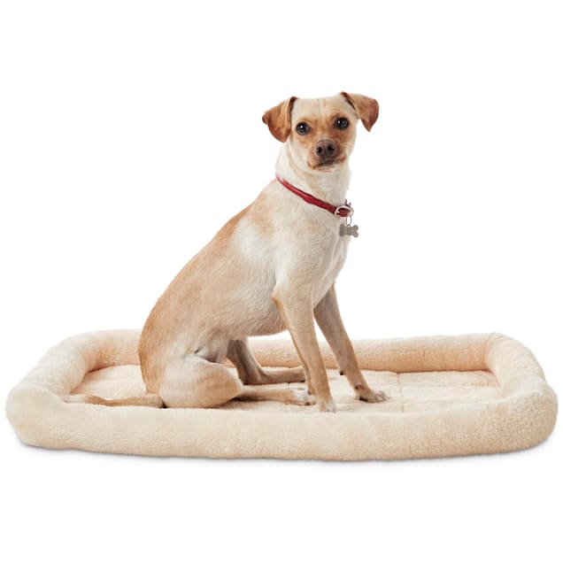 Petco dog clearance beds for crates