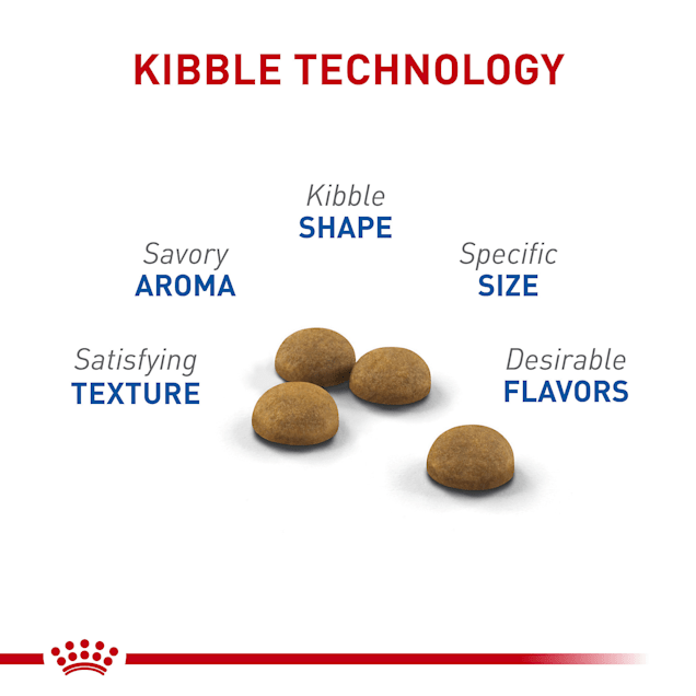 Royal Canin Feline Health Nutrition Indoor Long Hair Adult Dry Cat