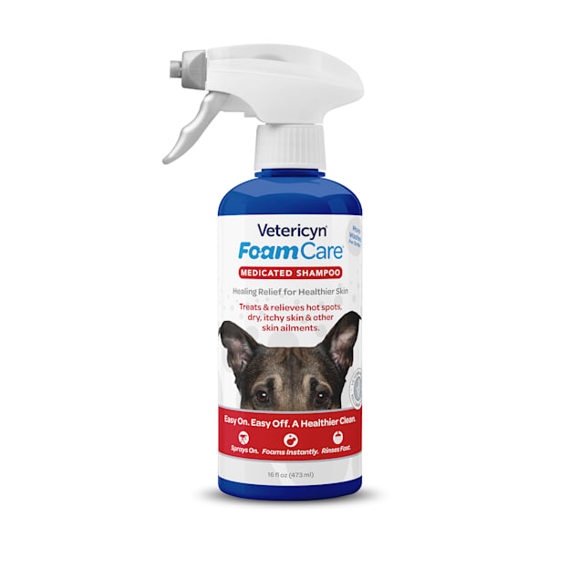 Dry dog shampoo hotsell petco