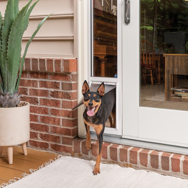 PetSafe 2Piece Sliding Glass Pet Door, Medium Petco
