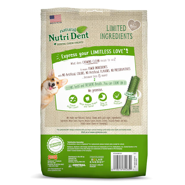 Nylabone nutri dent medium sales