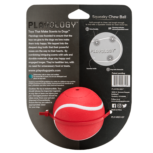 Squeaky Chew Ball Dog Toy - Chicken, Beef, Peanut Butter, and more Flavors  - Playology