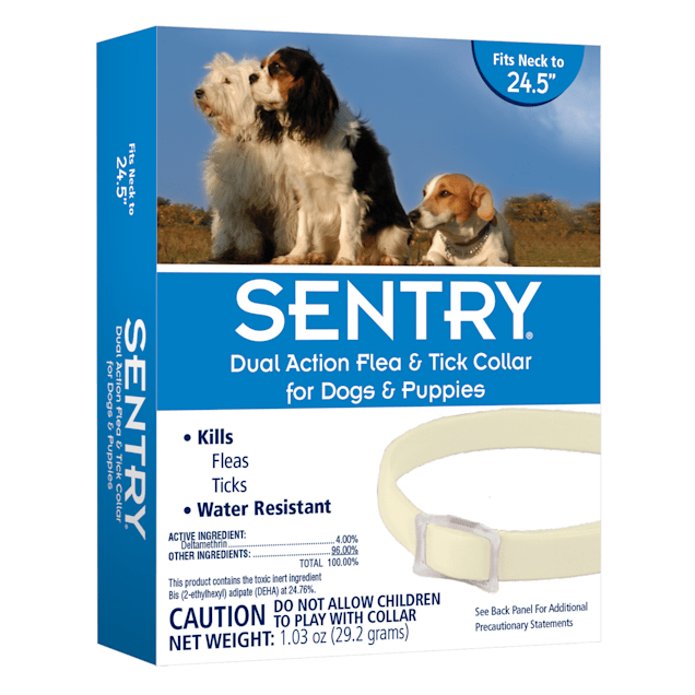 The Best Flea & Tick Collars for Dogs: 10 Top-Sellers ...