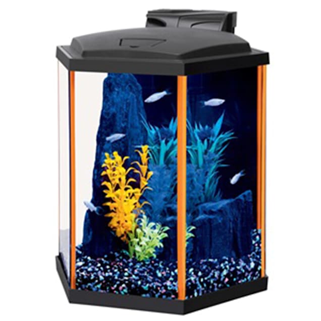 Aqueon LED Aquarium Kit Orange NeoGlow, 8 Gallon - Carousel image #1