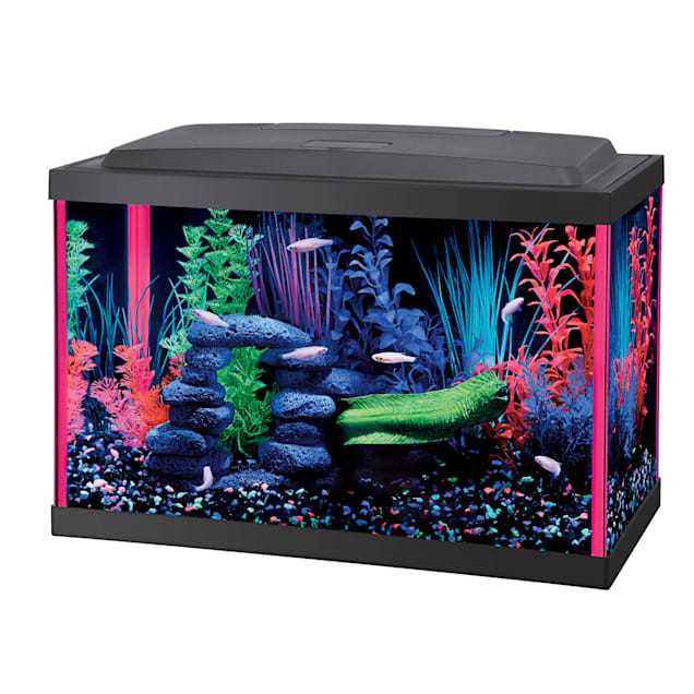 aqueon aquarium kit pink neoglow 5 5 gallons