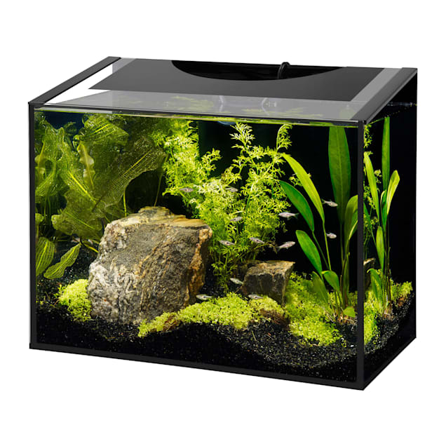 Aqueon Ascent Frameless LED Aquarium Kit, 10 Gallon