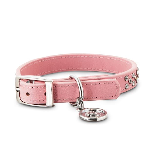 Petco pink dog collar clearance