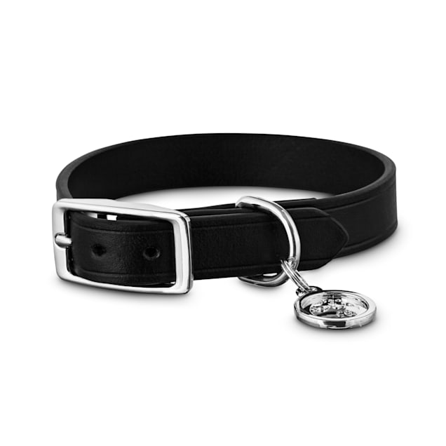 Black dog collar hotsell
